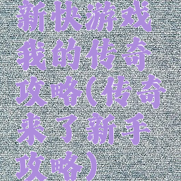 新快游戏我的传奇攻略(传奇来了新手攻略)