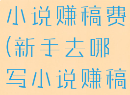 新手去哪写小说赚稿费(新手去哪写小说赚稿费未成年)