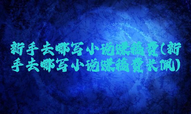 新手去哪写小说赚稿费(新手去哪写小说赚稿费长佩)