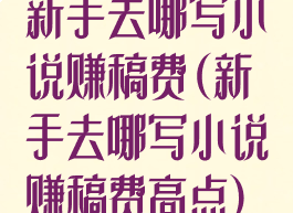 新手去哪写小说赚稿费(新手去哪写小说赚稿费高点)