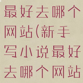新手写小说最好去哪个网站(新手写小说最好去哪个网站混全勤)