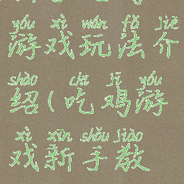 新手吃鸡游戏玩法介绍(吃鸡游戏新手教程)