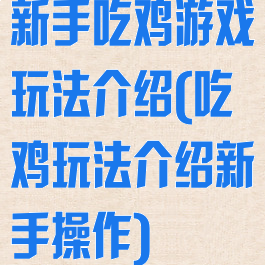 新手吃鸡游戏玩法介绍(吃鸡玩法介绍新手操作)