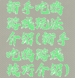 新手吃鸡游戏玩法介绍(新手吃鸡游戏技巧介绍)