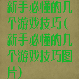 新手必懂的几个游戏技巧(新手必懂的几个游戏技巧图片)