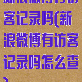 新浪微博有访客记录吗(新浪微博有访客记录吗怎么查)