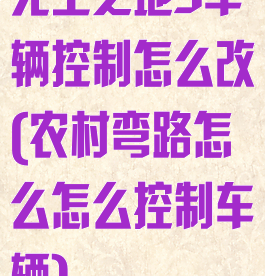 无主之地3车辆控制怎么改(农村弯路怎么怎么控制车辆)