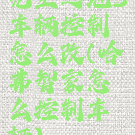 无主之地3车辆控制怎么改(哈弗智家怎么控制车辆)