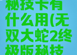 无双大蛇2秘技卡有什么用(无双大蛇2终极版秘技卡什么用)