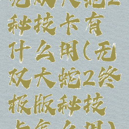 无双大蛇2秘技卡有什么用(无双大蛇2终极版秘技卡怎么用)