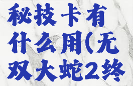 无双大蛇2秘技卡有什么用(无双大蛇2终极版卡死)