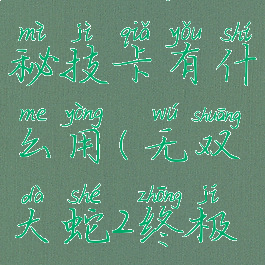 无双大蛇2秘技卡有什么用(无双大蛇2终极版)