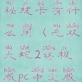 无双大蛇2秘技卡有什么用(无双大蛇2终极版pc中文版下载)