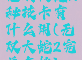 无双大蛇2秘技卡有什么用(无双大蛇2完美存档)