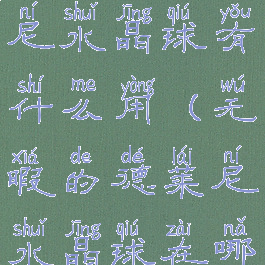 无暇的德莱尼水晶球有什么用(无暇的德莱尼水晶球在哪)