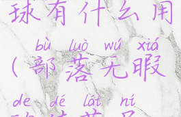 无暇的德莱尼水晶球有什么用(部落无暇的德莱尼水晶球有什么用)