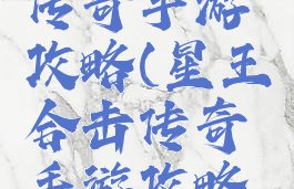 星王合击传奇手游攻略(星王合击传奇手游攻略大全)