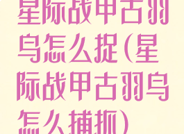星际战甲古羽鸟怎么捉(星际战甲古羽鸟怎么捕抓)