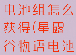 星露谷物语电池组怎么获得(星露谷物语电池组放哪里)