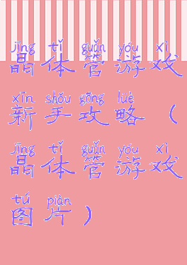 晶体管游戏新手攻略(晶体管游戏图片)