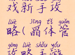 晶体管游戏新手攻略(晶体管攻略手游攻略)