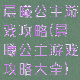 晨曦公主游戏攻略(晨曦公主游戏攻略大全)