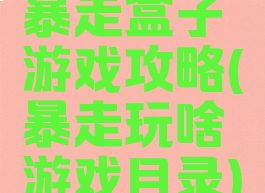 暴走盒子游戏攻略(暴走玩啥游戏目录)