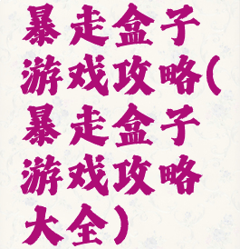 暴走盒子游戏攻略(暴走盒子游戏攻略大全)