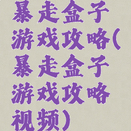 暴走盒子游戏攻略(暴走盒子游戏攻略视频)