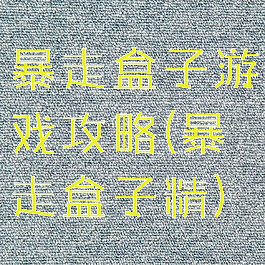 暴走盒子游戏攻略(暴走盒子精)