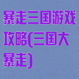 暴走三国游戏攻略(三国大暴走)