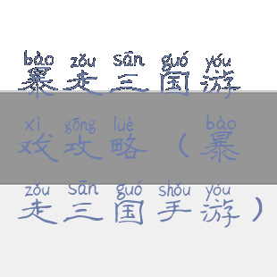 暴走三国游戏攻略(暴走三国手游)