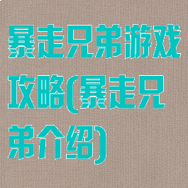 暴走兄弟游戏攻略(暴走兄弟介绍)