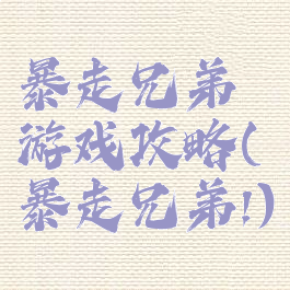 暴走兄弟游戏攻略(暴走兄弟!)