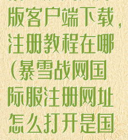 暴雪战网国际版客户端下载,注册教程在哪(暴雪战网国际服注册网址怎么打开是国服的)
