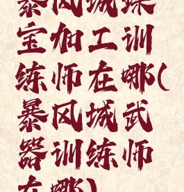 暴风城珠宝加工训练师在哪(暴风城武器训练师在哪)