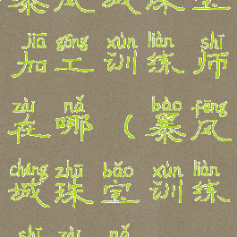 暴风城珠宝加工训练师在哪(暴风城珠宝训练师在哪)