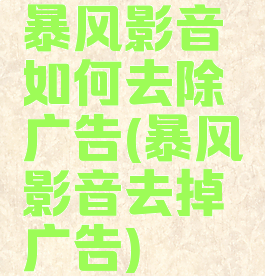 暴风影音如何去除广告(暴风影音去掉广告)