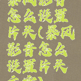 暴风影音怎么设置片头(暴风影音怎么设置片头文字)