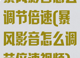 暴风影音怎么调节倍速(暴风影音怎么调节倍速视频)