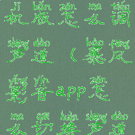 暴风影音手机版怎么调声道(暴风影音app怎么切换声道)