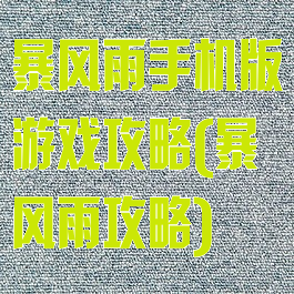 暴风雨手机版游戏攻略(暴风雨攻略)