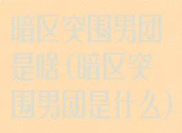 暗区突围男团是啥(暗区突围男团是什么)