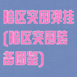 暗区突围弹挂(暗区突围装备图鉴)