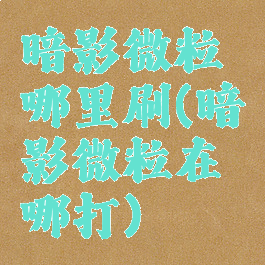 暗影微粒哪里刷(暗影微粒在哪打)