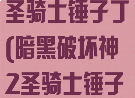 暗黑破坏神2圣骑士锤子丁(暗黑破坏神2圣骑士锤子丁双热)