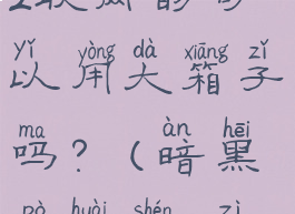 暗黑破坏神2联网的可以用大箱子吗?(暗黑破坏神2自带大箱子)