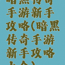 暗黑传奇手游新手攻略(暗黑传奇手游新手攻略大全)