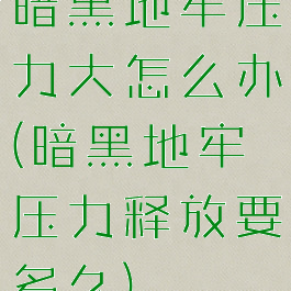 暗黑地牢压力大怎么办(暗黑地牢压力释放要多久)