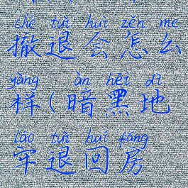 暗黑地牢撤退会怎么样(暗黑地牢退回房间)